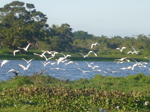 Hidalgotitlan TURISMO :: Hidalgotitlán-Veracruz